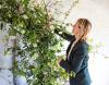 Mud Flowers | Bolton | Weddings