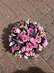 Funeral Flowers | Posy