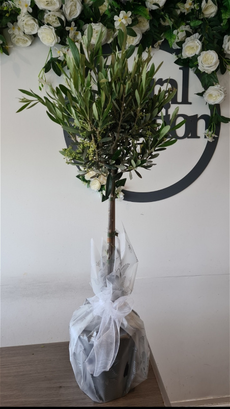 Bouquets | Christmas Flowers | Olive Tree