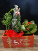 Christmas Flowers | Christmas Box Planter