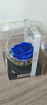 Bouquets | Christmas Flowers | Valentines Day Flowers | Preserved Rose Glass Bowl Multiple Colours