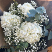 Bouquets | Mother's Day | Hydrangea heaven