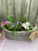 Mother's Day | Upsell gifts | Large basket of plants