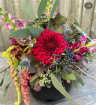 Bouquets | Pumpkin Arrangements