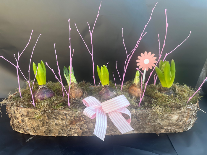 Bouquets | Mother's Day | Mixed bulb tray