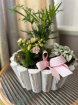 Bouquets | Mother's Day | Mixed planters wooden pot