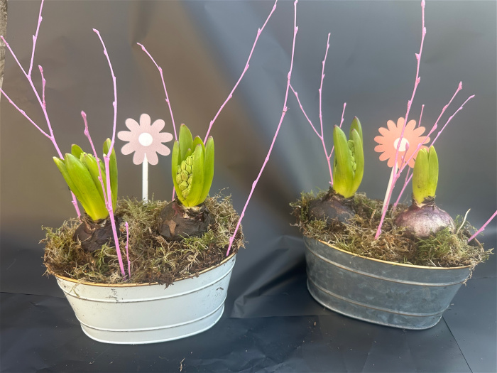 Bouquets | Mother's Day | Upsell gifts | Bulb arrangements