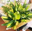 Bouquets | Loves Lilies