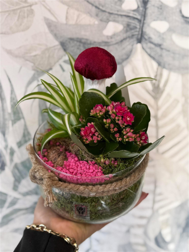 Bouquets | Todays Offers | Autumnal plants