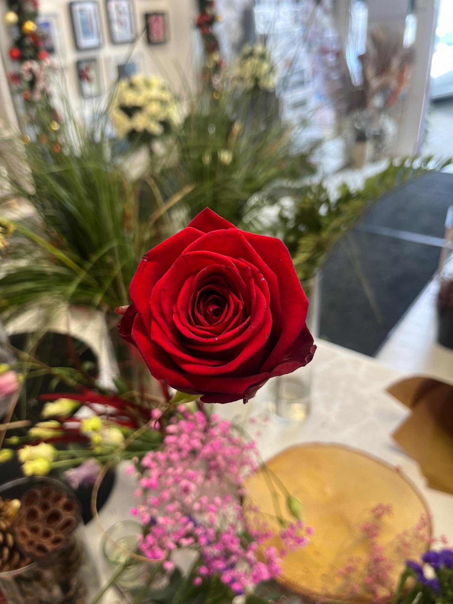 The Flower Shop Ardee | Ardee  | Red Rose