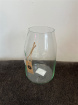 Glassware | Upsell gifts | Eco Vase