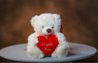 Valentine’s Day | Valentine’s Teddy