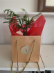 Teachers Gifts | Root for the teacher
