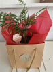 Teachers Gifts | Root for the teacher
