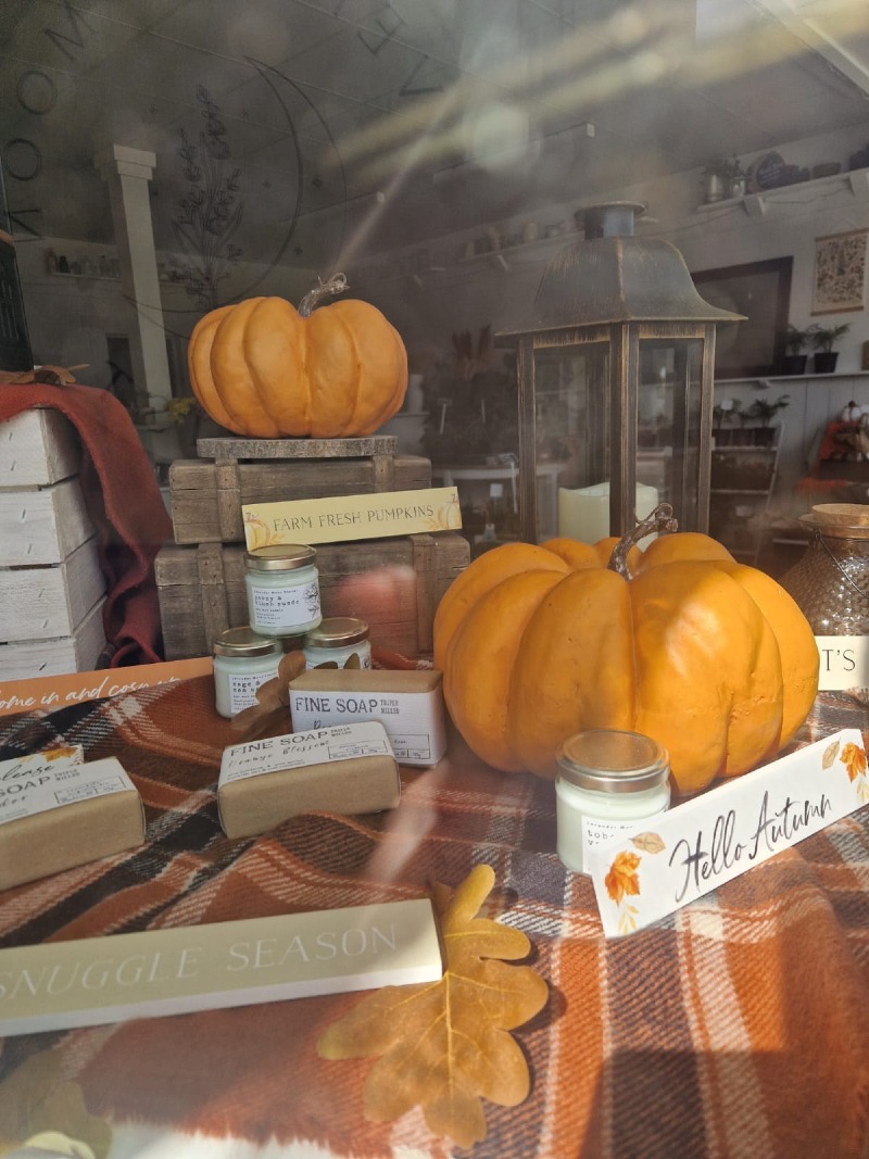 Lavender Moon Florist | Portsmouth | Autumn