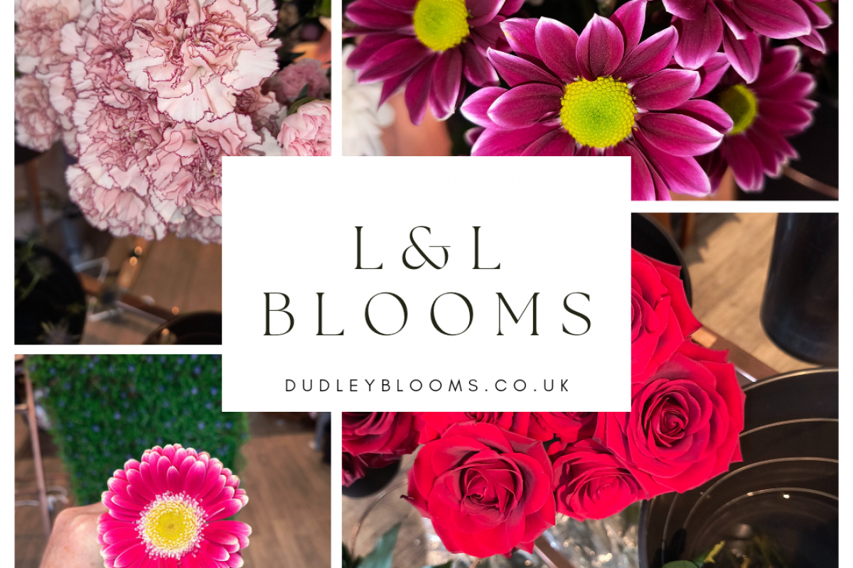 L&L Blooms | Dudley | Home