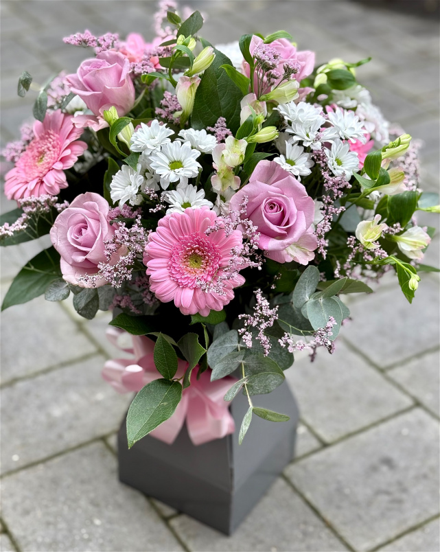 Occasions | Valentines | Daisy