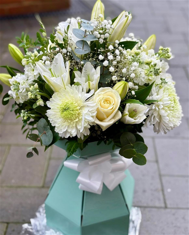 Occasions | Serenity