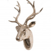 Home accessories | Champange stags head