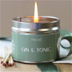 candles and reed difusers | Gin and tonic candle  paint pot