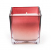 candles and reed difusers | Pomegranate and chassis candle pot