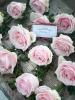 Flowers by J | Ilford | Weddings