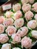 Flowers by J | Ilford | Weddings
