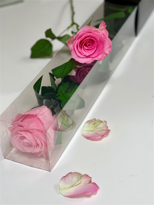 Mother's Day | The Forever Rose Collection | Forever Love