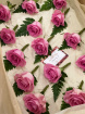 Wedding Bouquets