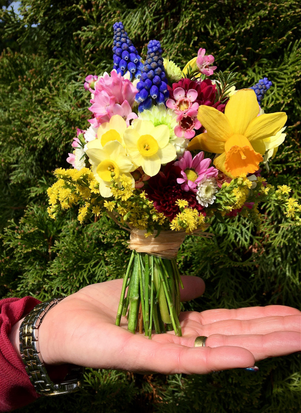 Fresh Seasonal Bouquets | Special Occasion Bouquets | Special Occasion Bouquet