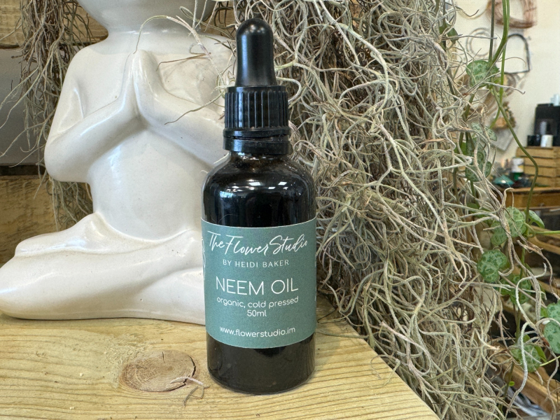 The Flower Studio Ltd | Isle of Man | 4 Benefits of Using Organic Neem Oil on Your Houseplants