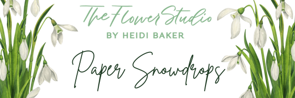 The Flower Studio Ltd | Isle of Man | The Flower Studio Insiders