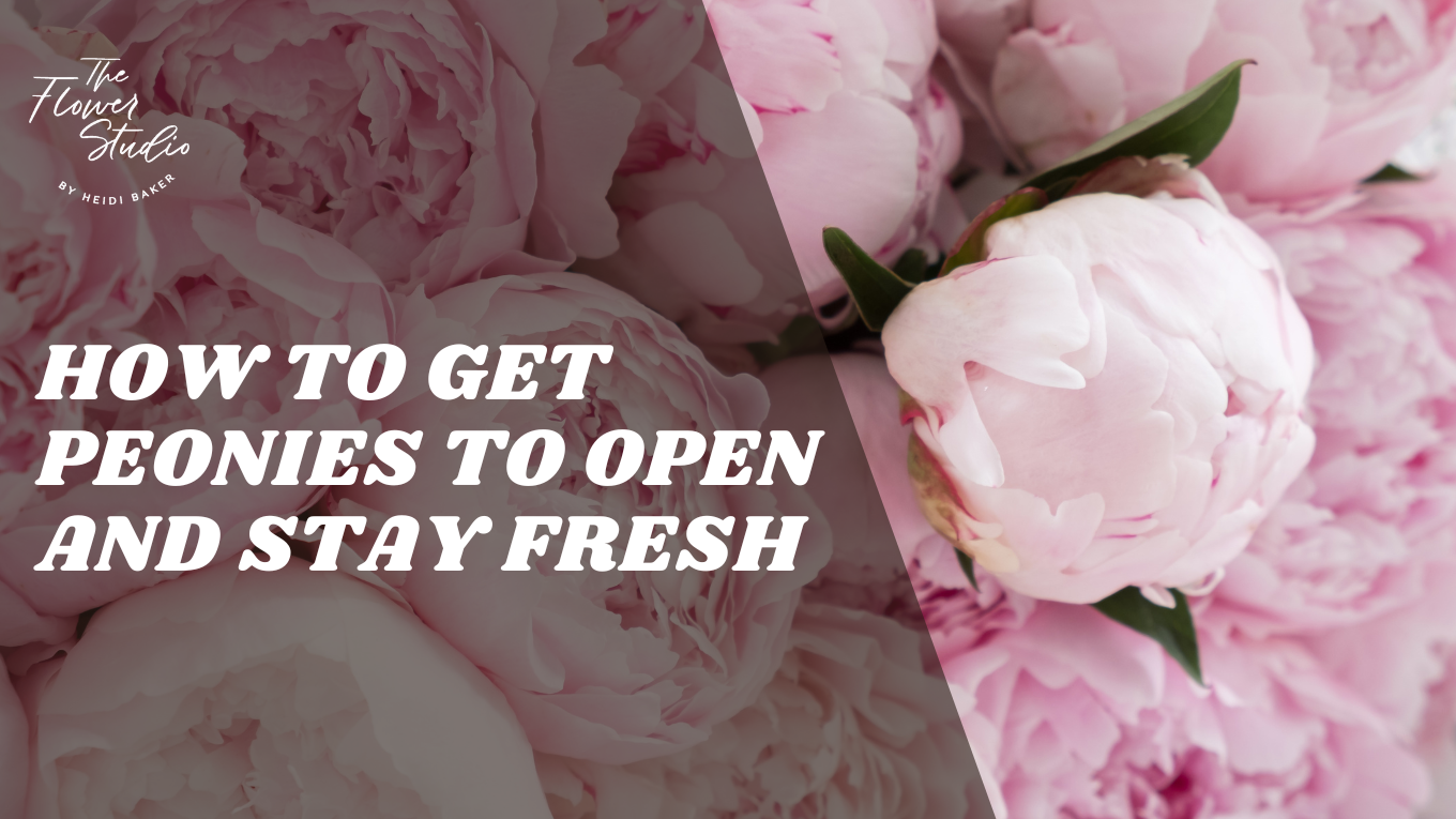 The Flower Studio Ltd | Isle of Man | How to Get Peonies to Open and Keep Them Fresh Longer
