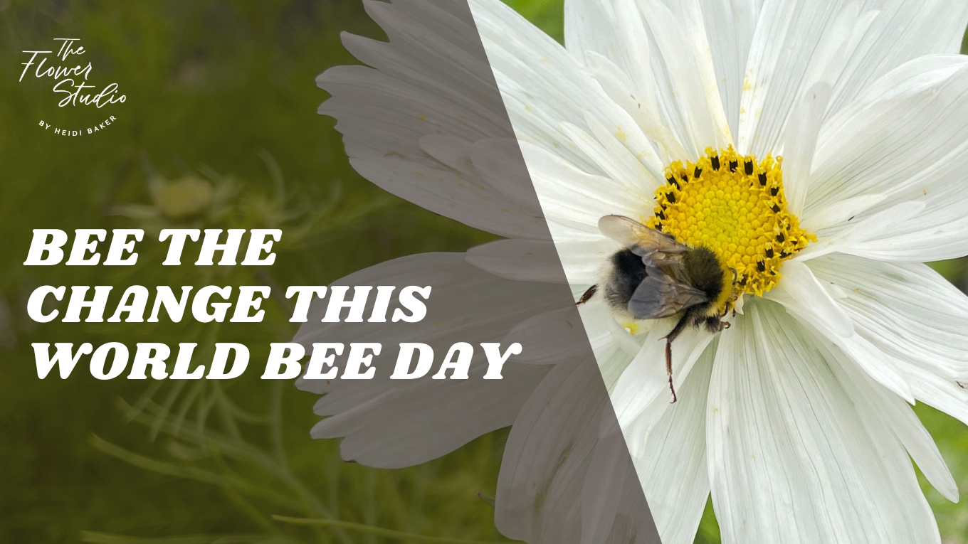 The Flower Studio Ltd | Isle of Man | Bee the change this World Bee Day