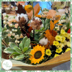 Autumn | Fresh Flowers | Mother's Day | Spring | Florist Choice Hand-tied Bouquet