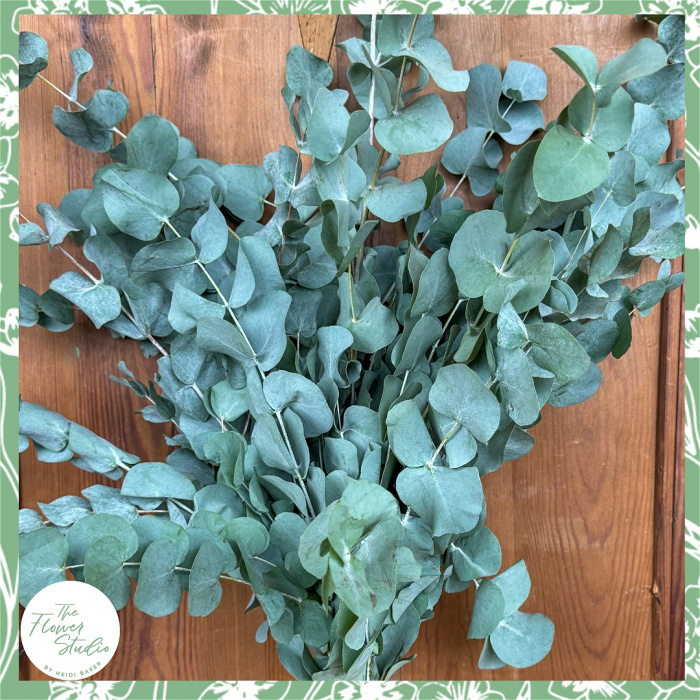 Fresh Flowers | Eucalyptus Bunch