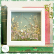 Dried Flowers | Gifts | Lifestyle & Home | Dried Flower Box Frame