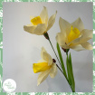 Spring | Workshops | Paper Daffodil Workshop 10th April