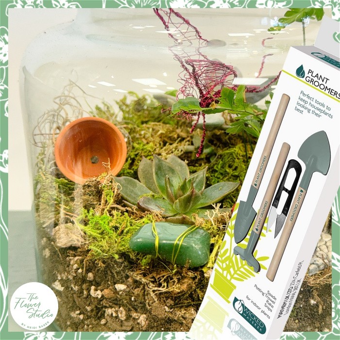 Workshops | Succulent Terrarium Workshop 7th August