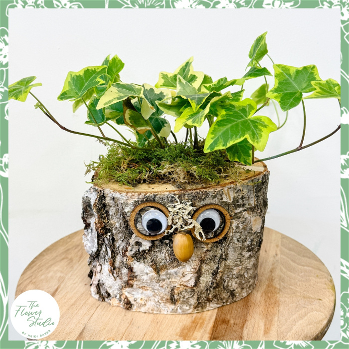 End of Term Gifts | Plants | Professor Barkley