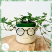 End of Term Gifts | Plants | Miss Ivy Moss