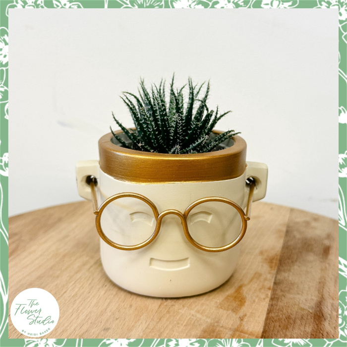 End of Term Gifts | Plants | Sir Sproutson