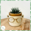 End of Term Gifts | Plants | Sir Sproutson