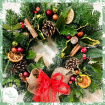 Workshops | Beginner Christmas Wreath Workshop- 22nd November