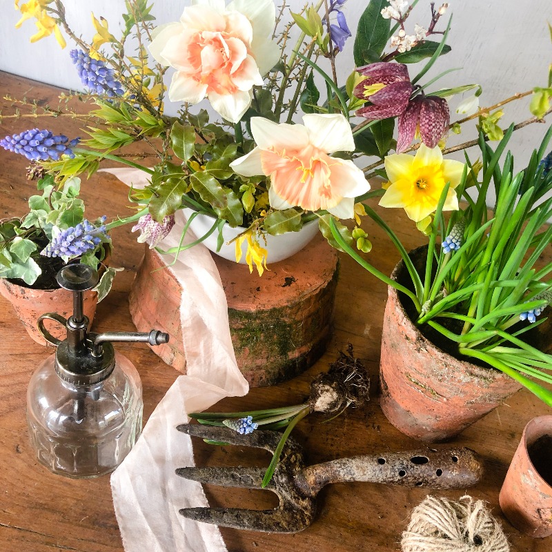 The Flower Studio Ltd | Isle of Man | Home