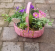 Mother's Day Collection | Plants | Mothers Day Planted Basket