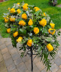 Sympathy | Yellow Rose Casket Spray