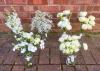 The Purple Peony | Rotherham | Weddings