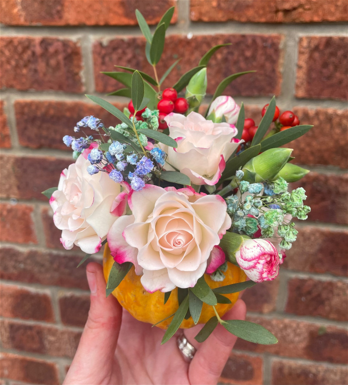 Arrangements | Bouquets | Gifts | Baby Pumpkin Arrangement