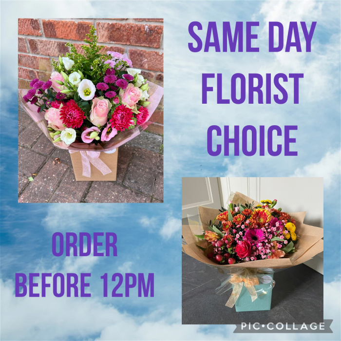Same Day Delivery | Same day Florist Choice